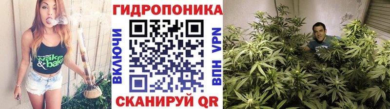 Названия наркотиков Александров Cocaine  Меф мяу мяу  МЕТАДОН  ГАШИШ 