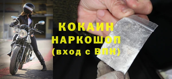 крисы Абаза