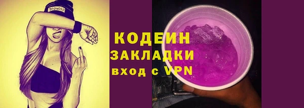 крисы Абаза