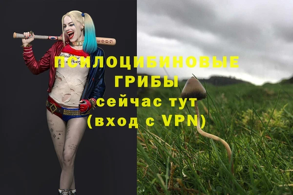 MDMA Алексин
