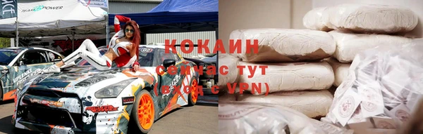 крисы Абаза