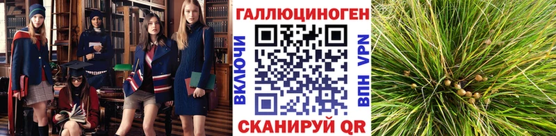 Псилоцибиновые грибы мухоморы mega зеркало Александров