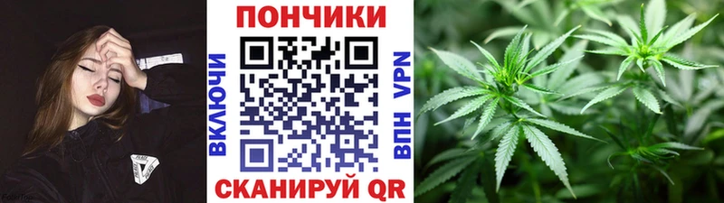 закладка  Александров  MEGA ссылки  Шишки марихуана Bruce Banner 